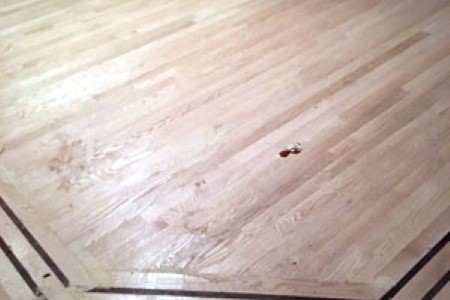 Dustless floor sanding versus sandless